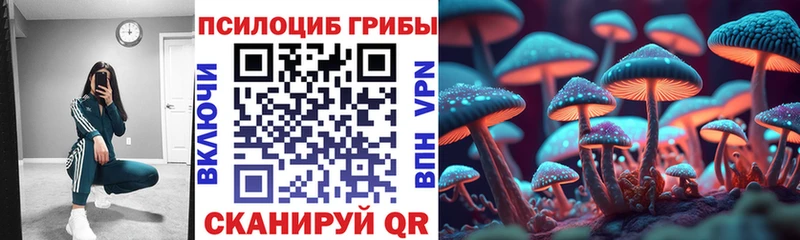 продажа наркотиков Барыш Псилоцибиновые грибы мицелий
